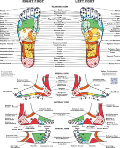 Reflexology Foot Chart Poster